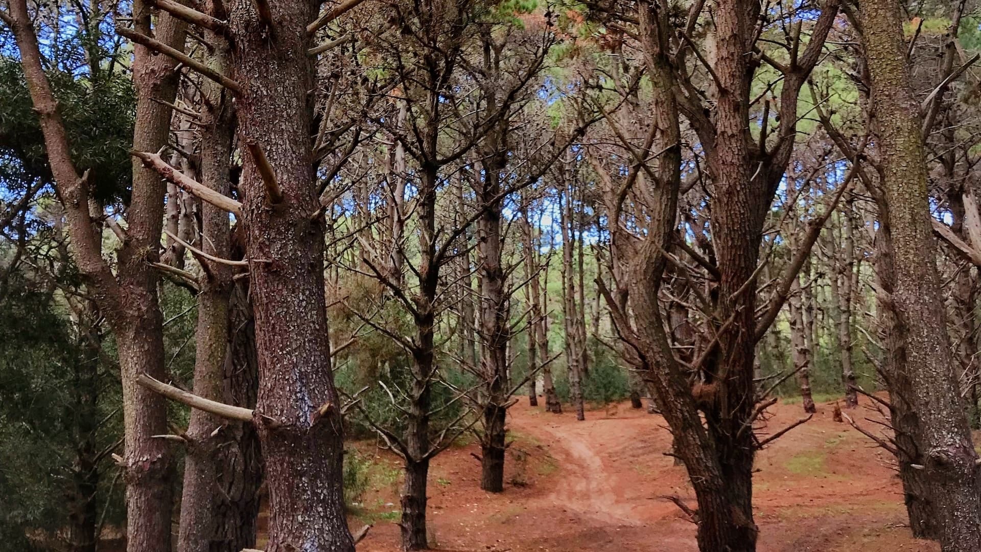 Ubicación Costa del Este