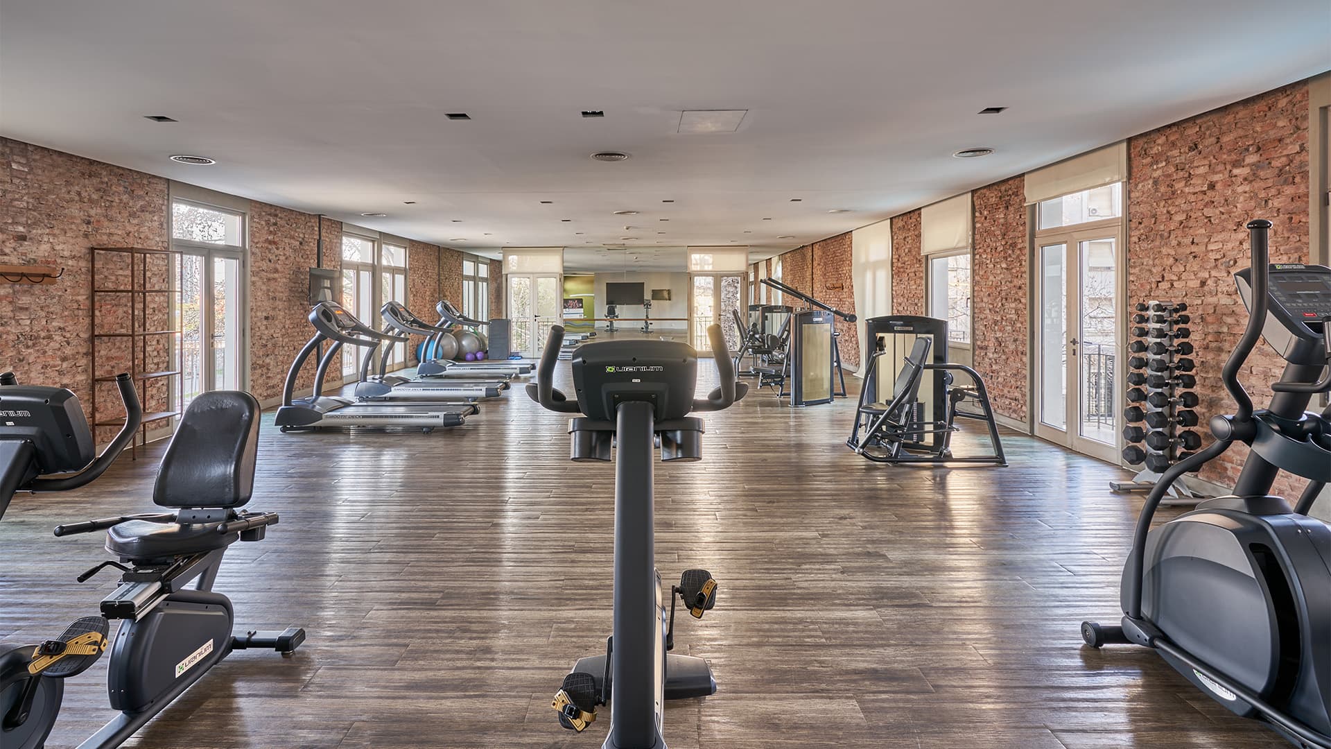 Gimnasio Almarena Madero Urbano